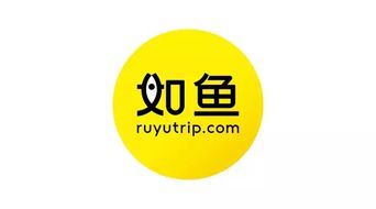 從如魚旅行到如魚蛻變 品牌升級(jí)如何重塑創(chuàng)意服務(wù)新體驗(yàn)